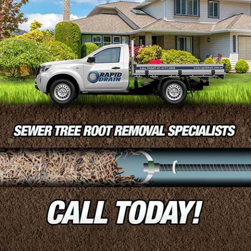Sewer Tree Root Removal Specialists In Lota